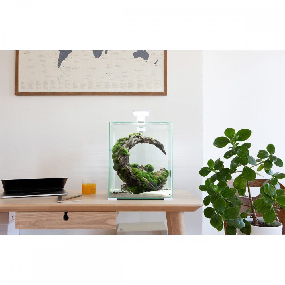 Акваріум Aquael Smart Day & Night для креветок, білий, 10 л