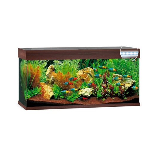 Акваріум Juwel прямий Rio 180 LED, 101х50х41 см, 180 л