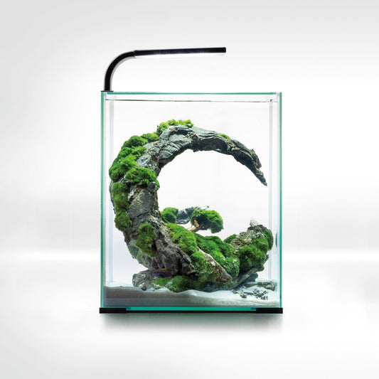 Акваріум Aquael Smart Day & Night для креветок, чорний, 30 л