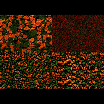 Корм для акваріумних риб Tetra Micro Menu 100 мл (мікс)