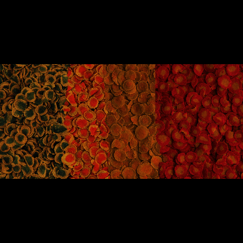 Корм для акваріумних риб TetraPRO Multi-Crisps Menu, 250 мл (чіпси)