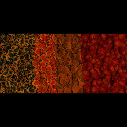 Корм для акваріумних риб TetraPRO Multi-Crisps Menu, 250 мл (чіпси)